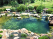 swim-pond