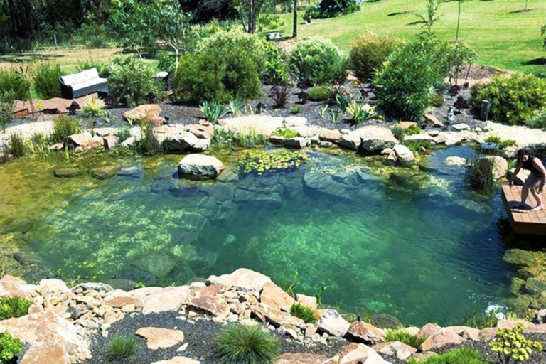 swimponds swim-pond