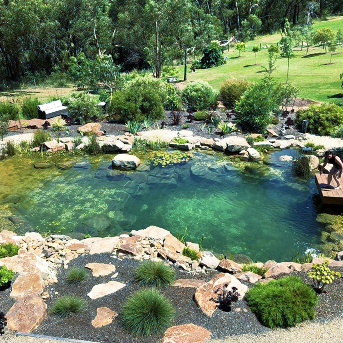 swimponds swim-pond