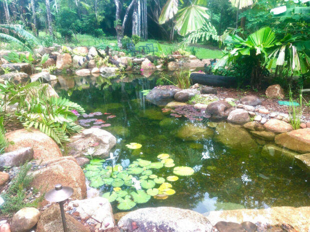 Recreation Ponds & Water Features | Waterscapes Australia