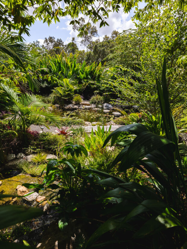 Ecosystem Pond 