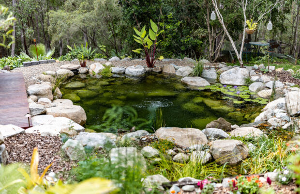 Recreation Pond | Wamuran | Waterscapes Australia