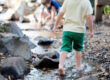pondless-stream