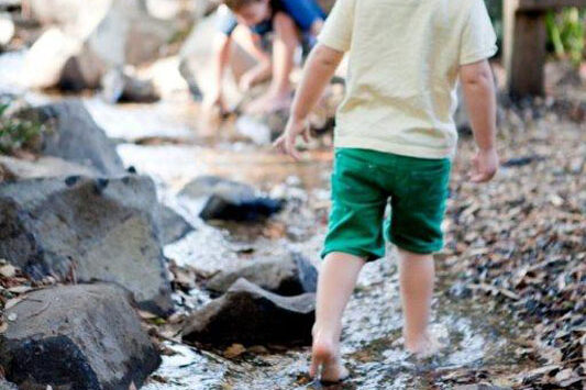 peregian-kindy-water-system-5 pondless-stream