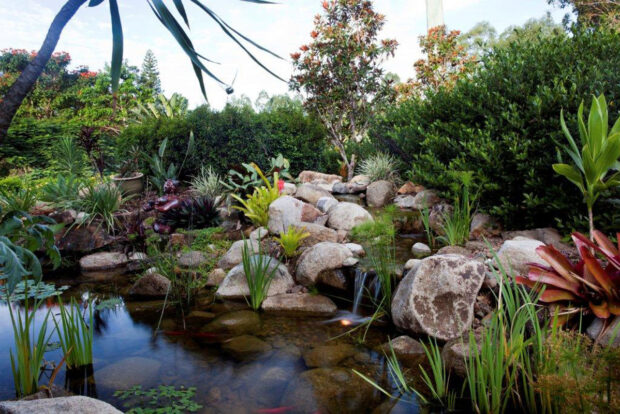 Natural Looking Residential Pond | Waterscapes Australia