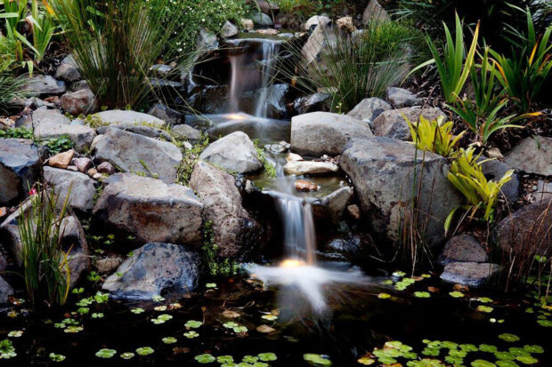 Natural Looking Residential Pond | Waterscapes Australia