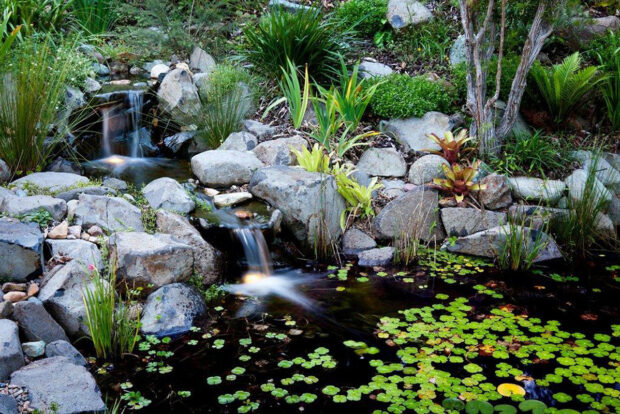 Natural Looking Residential Pond | Waterscapes Australia