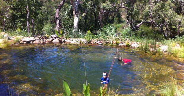 Recent Waterscapes Project 1