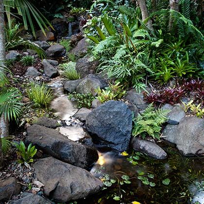 Recent Waterscapes Project 3