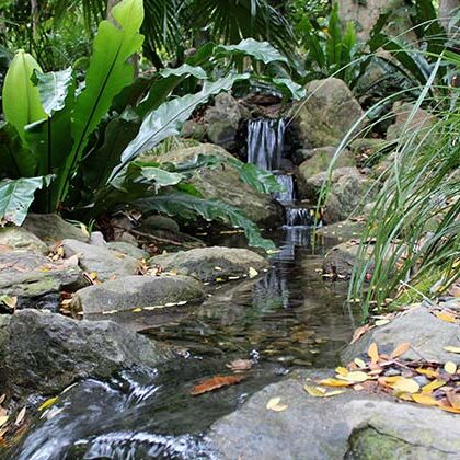 Recent Waterscapes Project 4