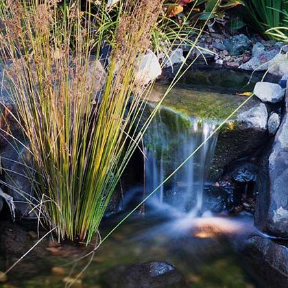 Recent Waterscapes Project 5