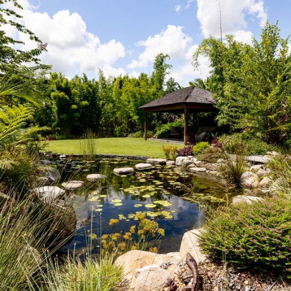 Waterscapes Australia - Builds Natural Ponds & Water Features