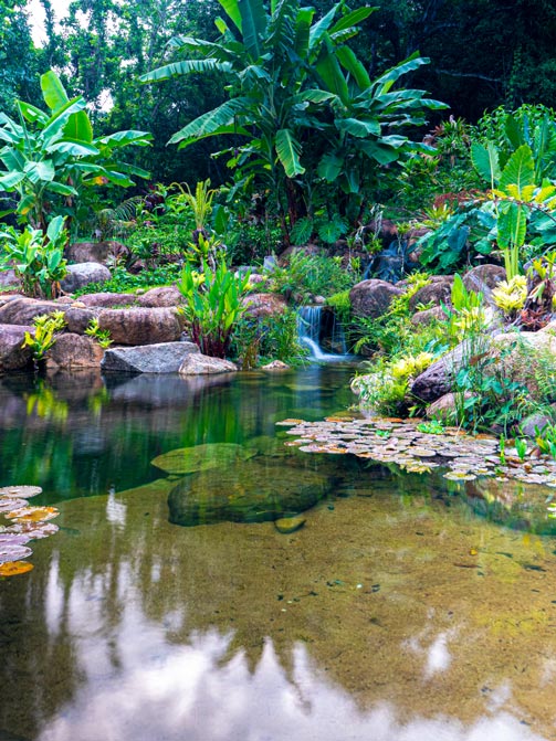Waterscapes Australia - Builds Natural Ponds & Water Features